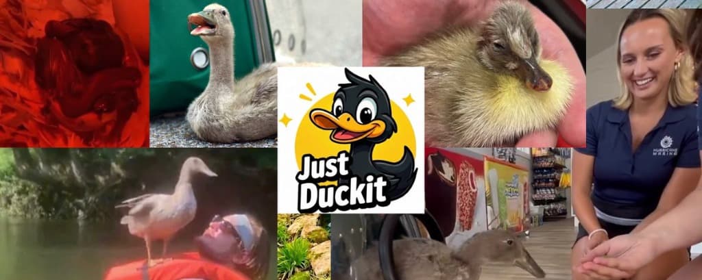 From One Egg to a Sanctuary